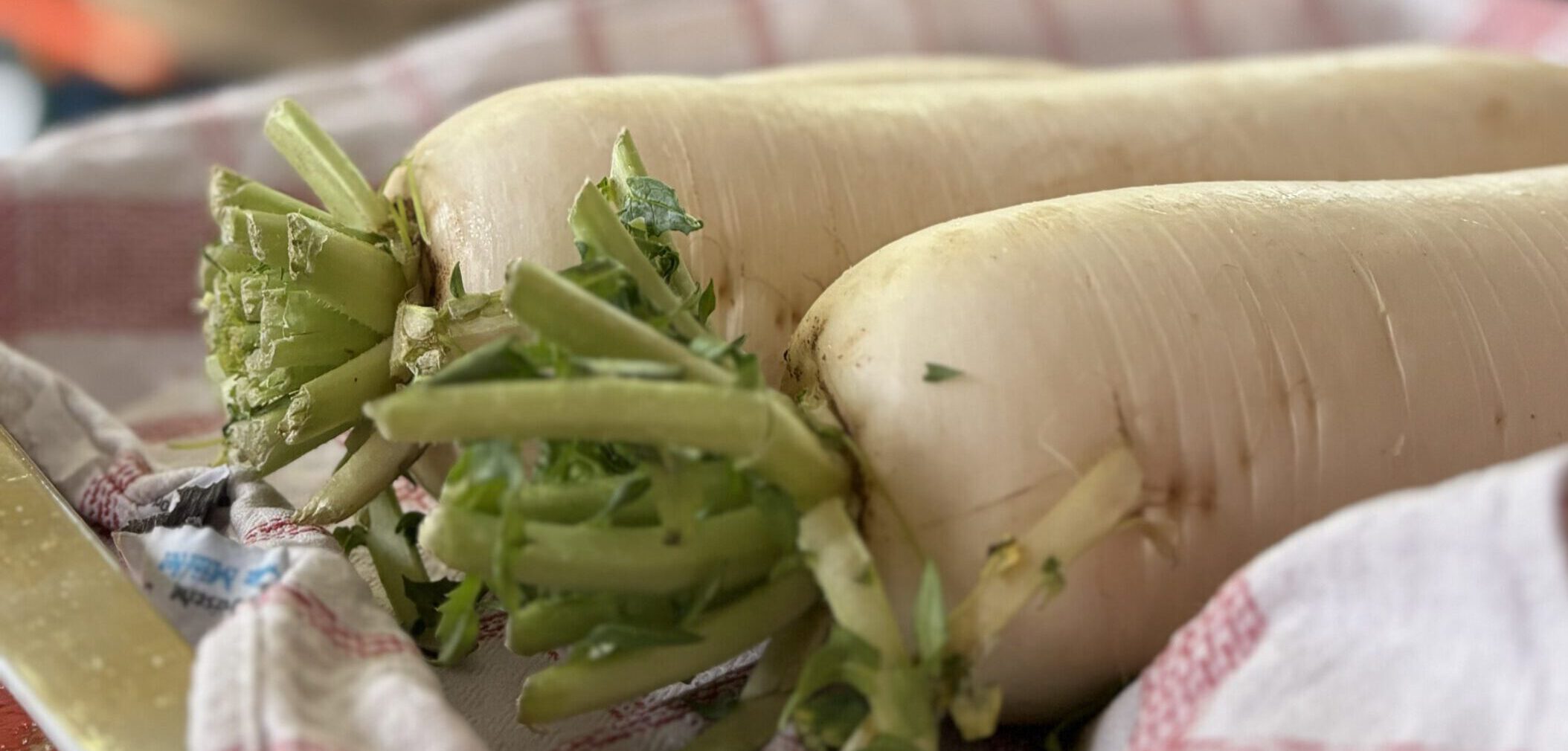 Rettichessen im Feuerwehrhaus